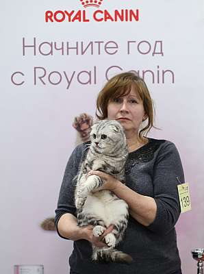 �������� ����� 11-12 ������ 2015, ������������ ���  sfs-139-169A3895 copy.jpg